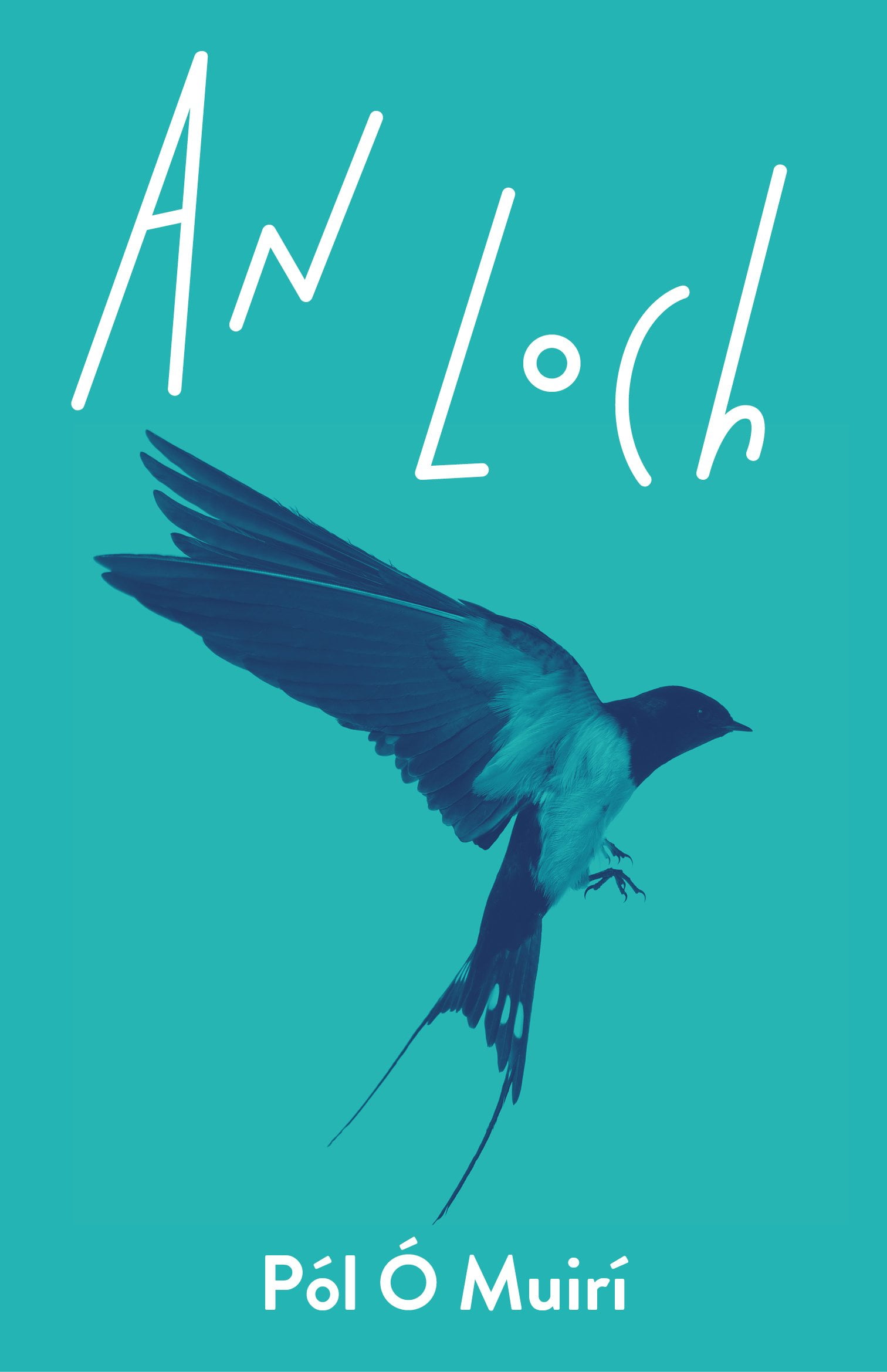 an-loch-foghlaimeoir-f-sta-adult-learners-an-ceathr-p-il
